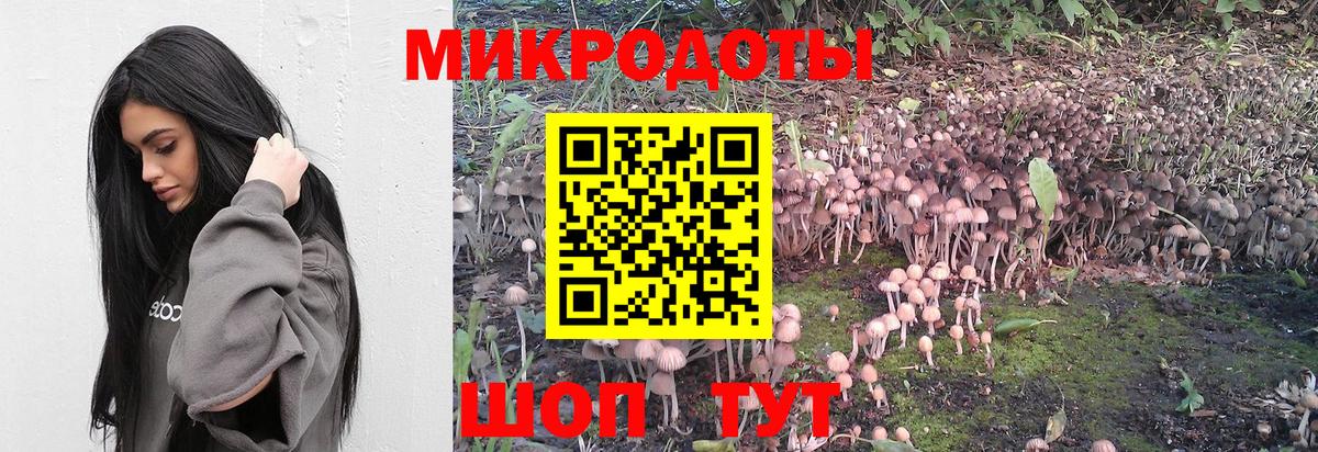 Галлюциногенные грибы мицелий Сердобск