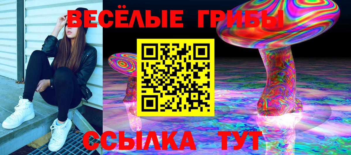 Псилоцибиновые грибы MAGIC MUSHROOMS  Вход с VPN  Сердобск  Псилоцибиновые грибы прущие грибы 